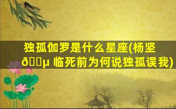 独孤伽罗是什么星座(杨坚 🌵 临死前为何说独孤误我)